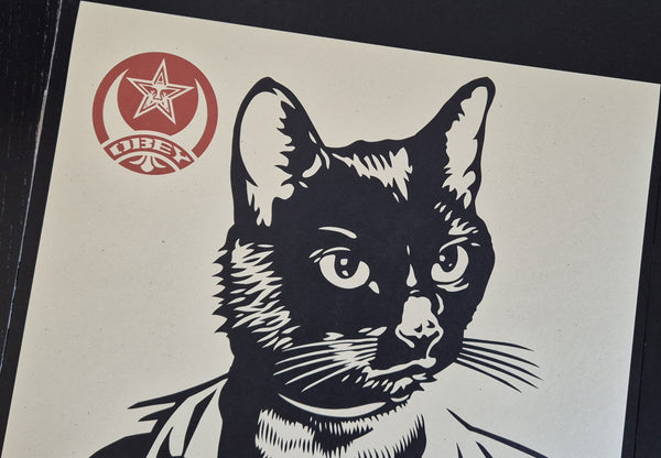 Radical Cat