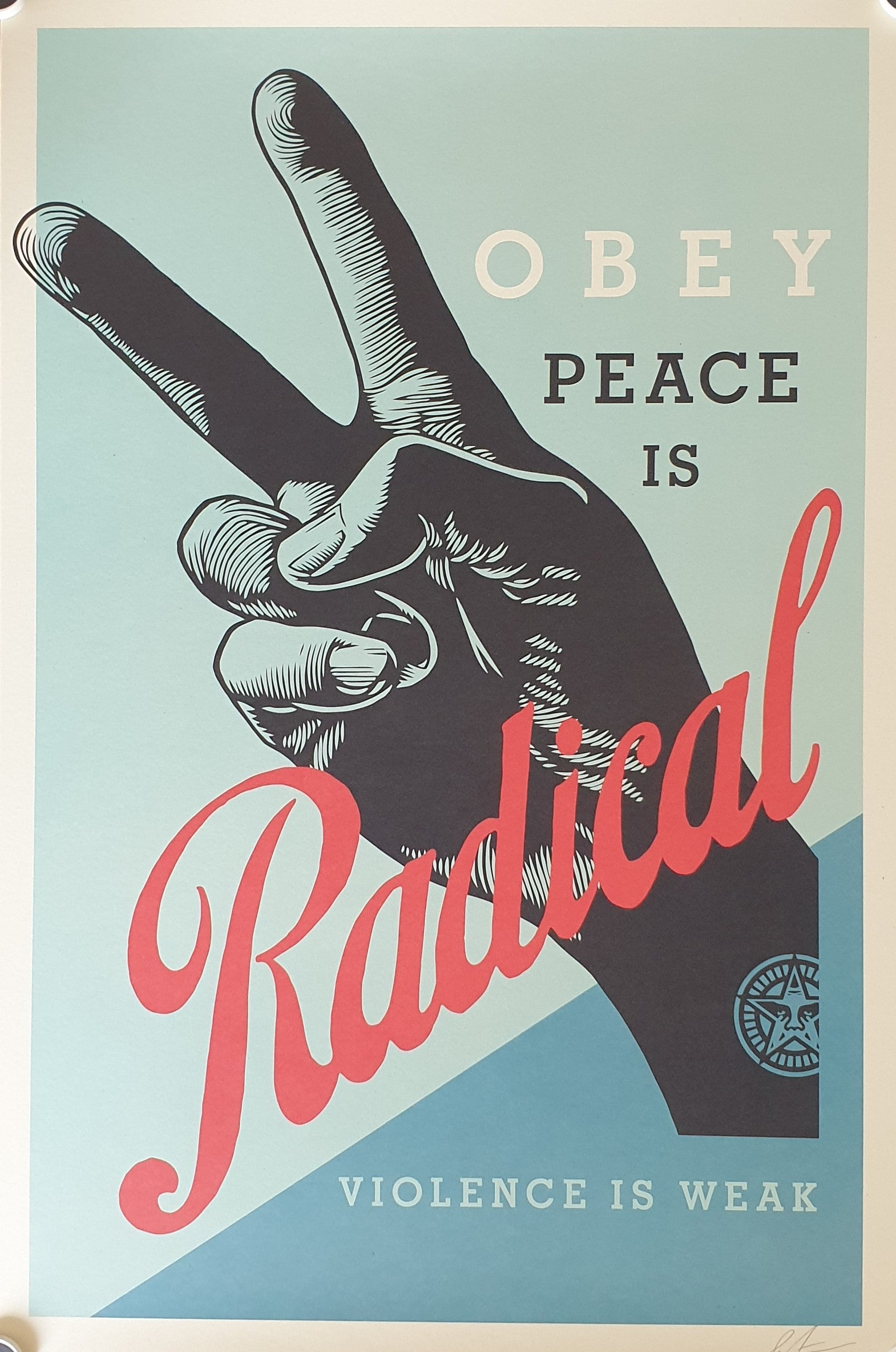 Biographie de Shepard Fairey | Vincent Bardou
