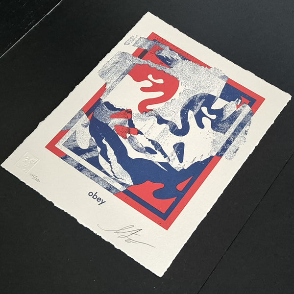 Torn Icon Letterpress