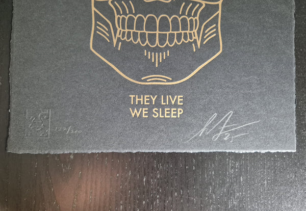 They Live We Sleep
