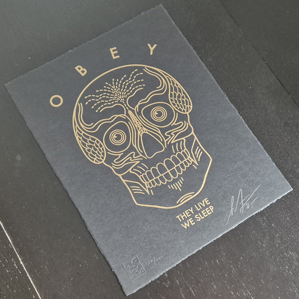 They Live We Sleep