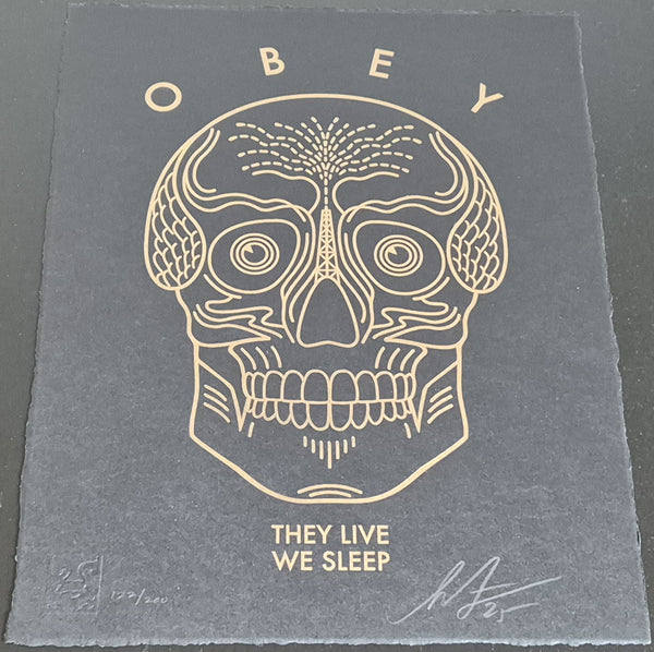 They Live We Sleep