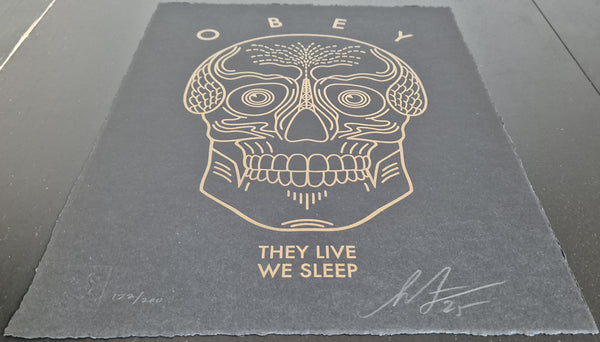 They Live We Sleep