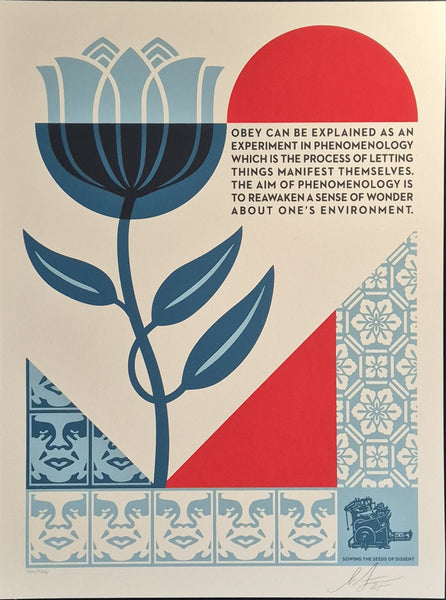 Phenomenology In Bloom