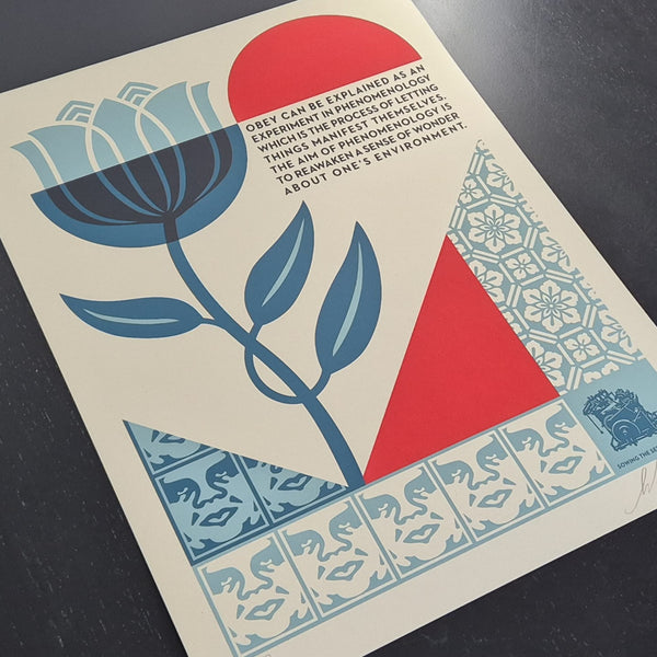 Phenomenology In Bloom