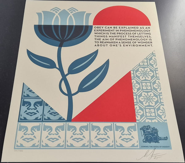 Phenomenology In Bloom