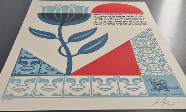 Phenomenology In Bloom