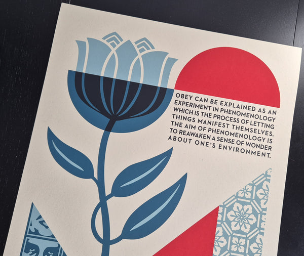 Phenomenology In Bloom