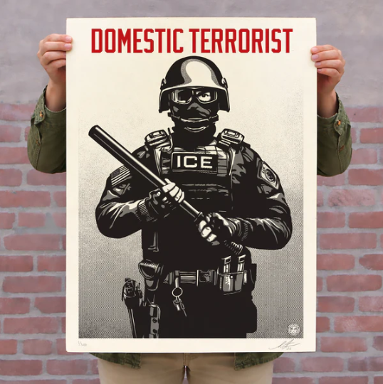 Projection Mirror Domestic Terrorist