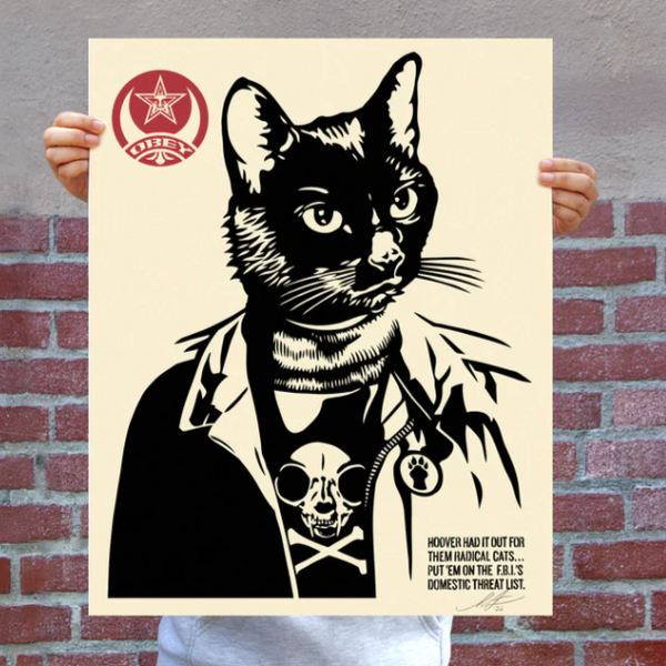 Radical Cat
