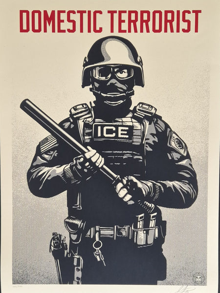 Projection Mirror Domestic Terrorist
