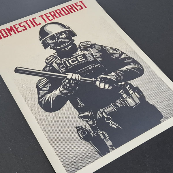 Projection Mirror Domestic Terrorist