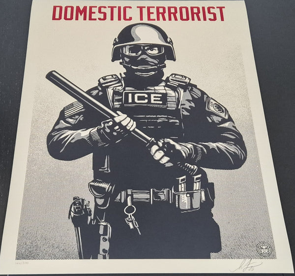 Projection Mirror Domestic Terrorist