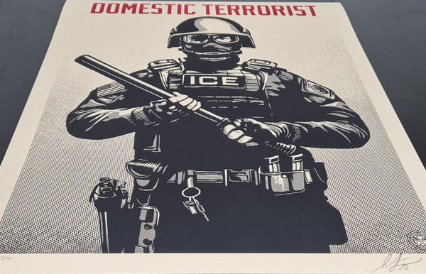 Projection Mirror Domestic Terrorist