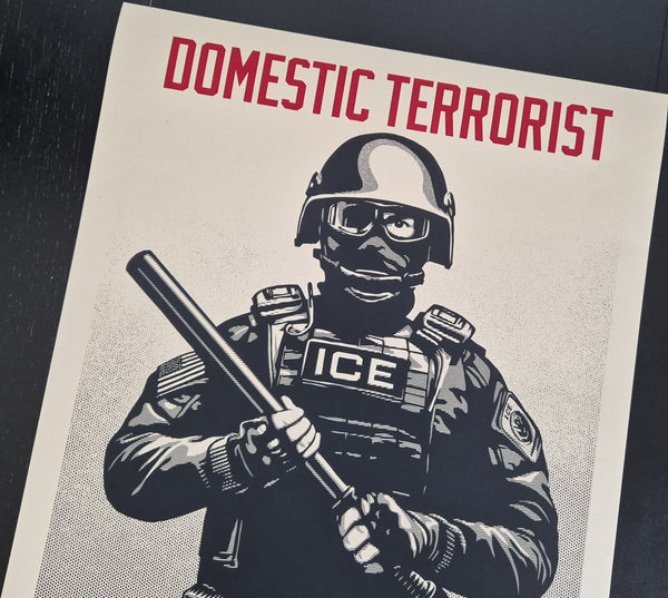 Projection Mirror Domestic Terrorist