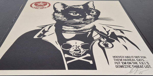 Radical Cat