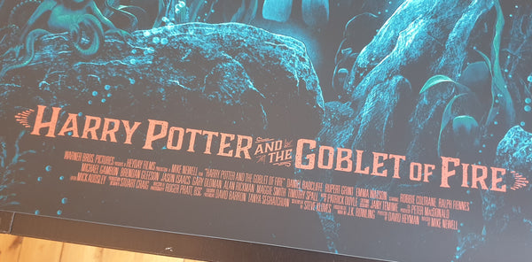 Harry Potter and The Goblet of Fire